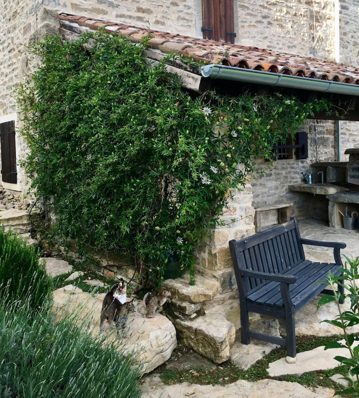 Bolara 60: The Cottage Grožnjan Buitenkant foto